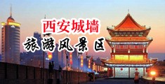 www.美女骚逼中国陕西-西安城墙旅游风景区
